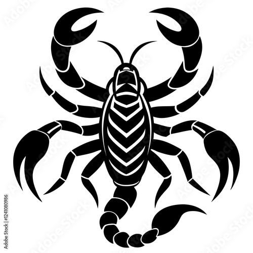 black spider isolated on white background