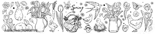 Spring nature doodle set, vector Easter season floral illustration hand drawn village flower sketch. Tulip bouquet, cute farm animal rabbit, chicken. Floral vintage rural clipart. Spring doodle design