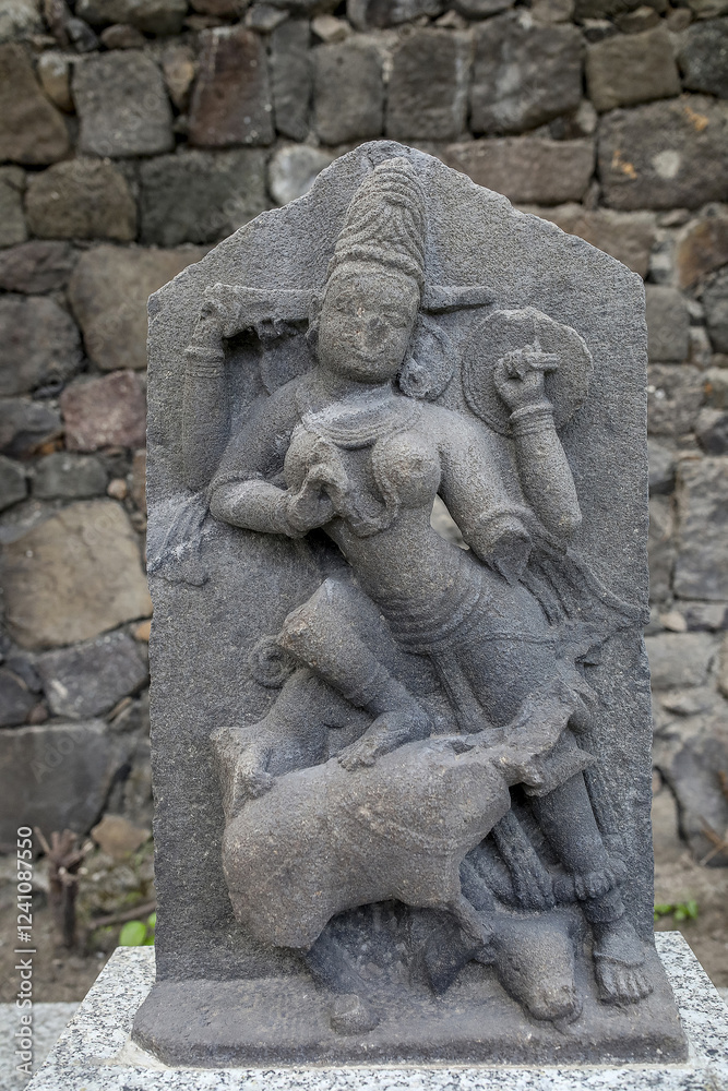 Obraz premium Reliefs in Daulatabad fort, Maharashtra, India
