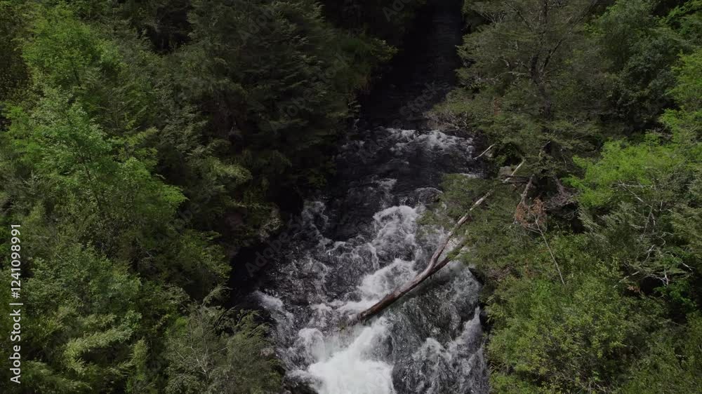 Aerial images taken with a drone of the Captren waterfall and river in the commune of Curacautín, Araucanía Region, Chile Aerial images taken with a drone of the Captren waterfall and river in the commune of Curacautín, Araucanía Region, Chile