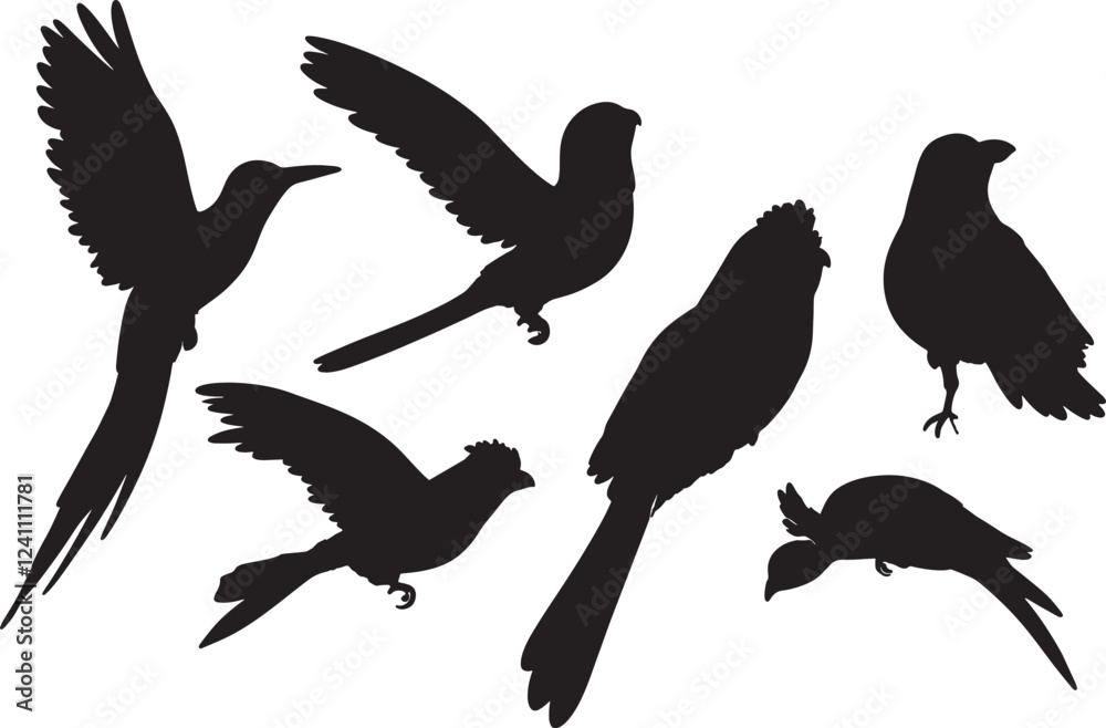 Fototapeta premium Collection of Stunning Exotic Bird Silhouettes and line art