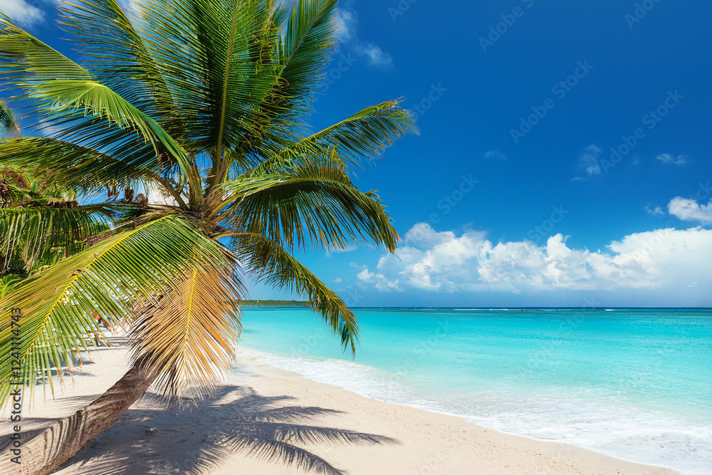 Fototapeta premium Sandy beach with coconut palm trees in the turquoise sea on Paradise island. Royalty high-quality free best stock of Panoramic beach landscape. Inspire tropical beach seascape horizon, Summer vacation