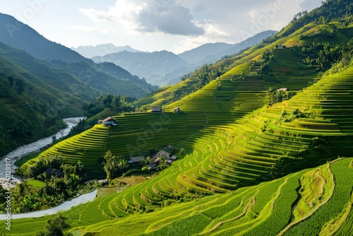 Lush Green Rice Terraces Across Mountain Valley