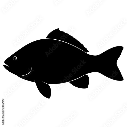 illustration of a fish