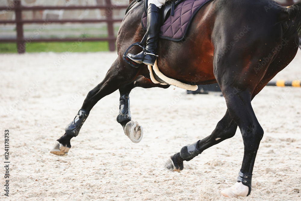 Gallop of a dark tail bay horse. Details for equestrian sports, Show jumping. Shooting from the back. Macro Gallop of a dark tail bay horse. Details for equestrian sports, Show jumping. Shooting from the back. Macro