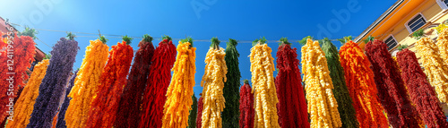 Vibrant Dried Peppers Hanging Outdoors, Colorful Harvest Displayed Against a Sunny Sky.  A Festive Celebration of Abundant Crop, Vivid Colors, Delightful Sight.