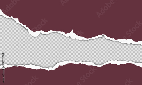 Vector horizontal torn paper edge. Ripped paper strip with soft shadow.