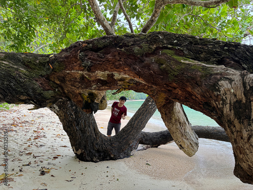 Asian man takes a photo with a giant tree on Mai Ngam Beach of Mu Ko Surin National Park in Phang Nga province of Thailand. photo