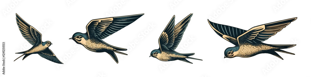 Obraz premium Birds illustration. Hand drawn bird collection.