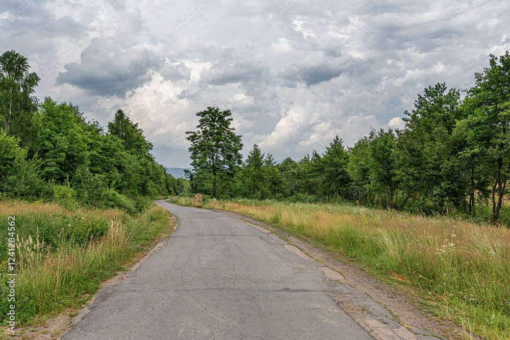 A narrow and slightly worn countryside road winds through lush greenery under a dramatic cloudy sky, creating a peaceful and atmospheric rural scene.