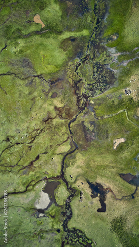 Scenic river flowing through the mountains in Caviahue – a stunning Patagonian landscape