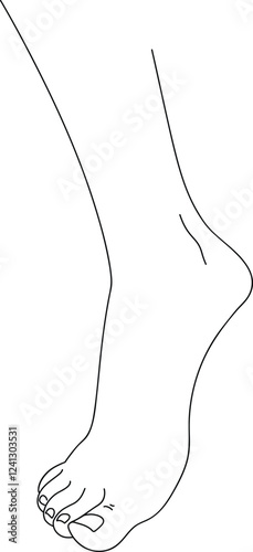 black and white line drawing of a female foot. Illustration isolated on white background