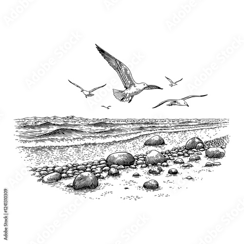 Seashore View with Seagulls Flying Over the Rocks Black and White Outline Line Art Drawing