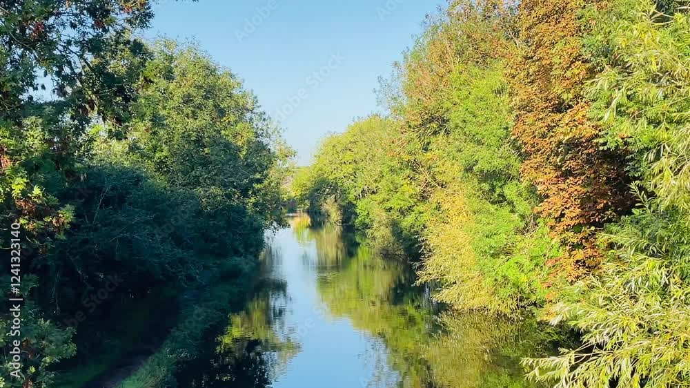 River scene surrounded by dense greenery and trees reflecting on the calm water, creating a peaceful and picturesque countryside view River scene surrounded by dense greenery and trees reflecting on the calm water, creating a peaceful and picturesque countryside view