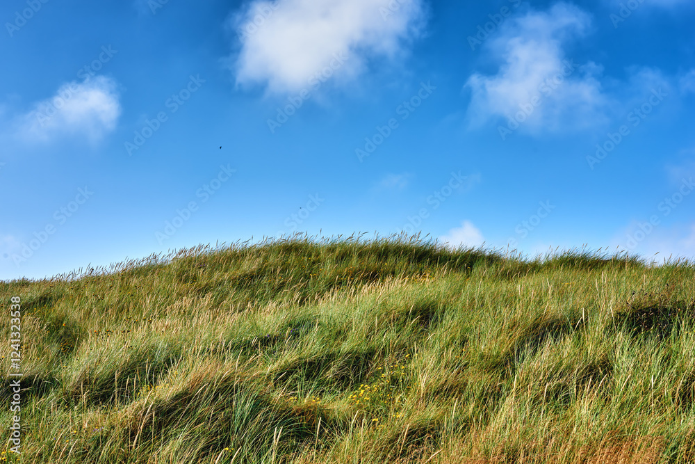 Grass, hill and environment with field in nature for sustainability, ecology and travel.Vacation, summer and countryside holiday for tourism with landscape and blue sky background in Denmark Grass, hill and environment with field in nature for sustainability, ecology and travel.Vacation, summer and countryside holiday for tourism with landscape and blue sky background in Denmark