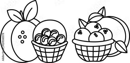 "Blueberry with Basket Coloring Pages – Fun and Printable Artwork for All Ages"