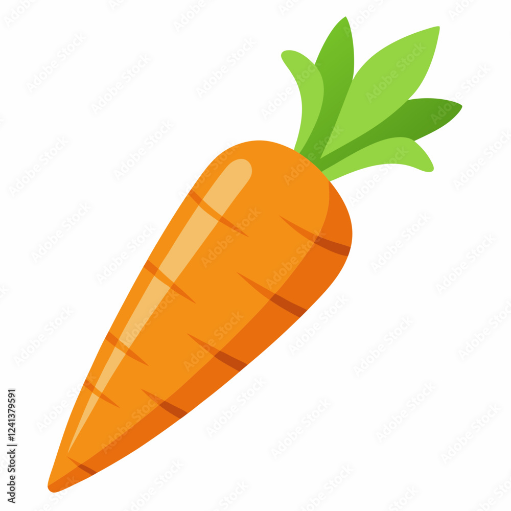 Carrot isolated white