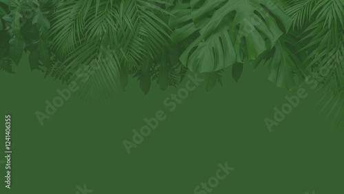 green leaves background, green backdrop