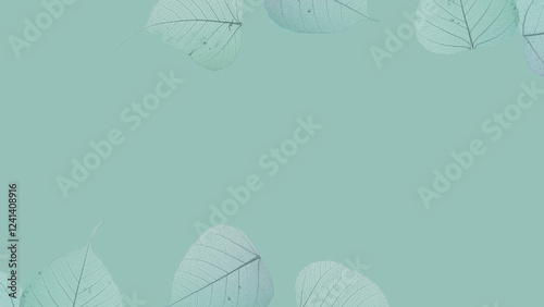 adobe photo - 76