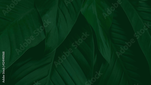 green leaves background, green backdrop