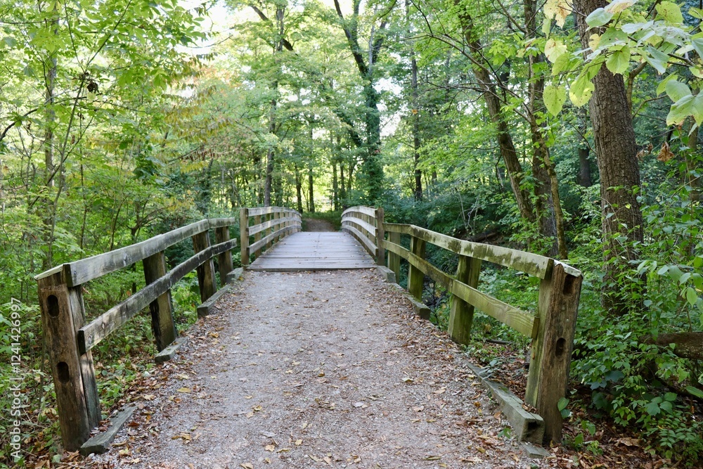 The old wood footbridge on the trail in the forest. The old wood footbridge on the trail in the forest.