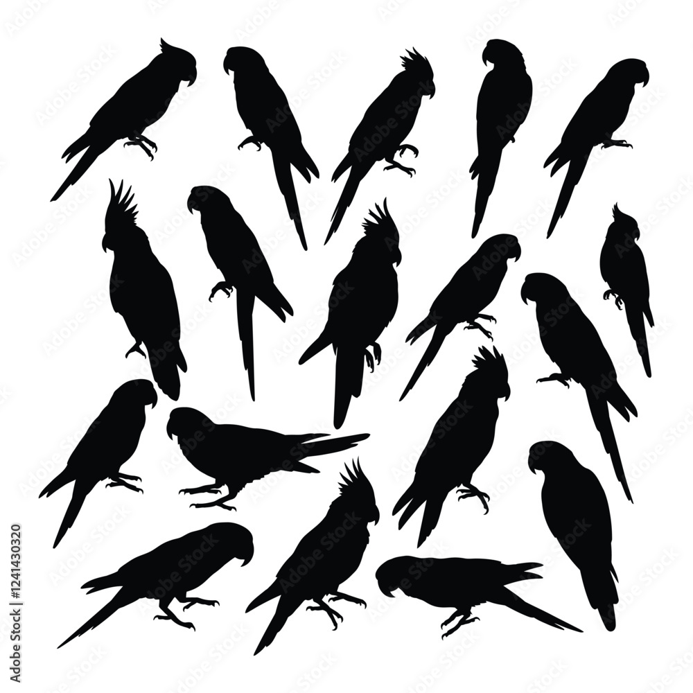 Obraz premium Parrot Silhouettes Collection with white background