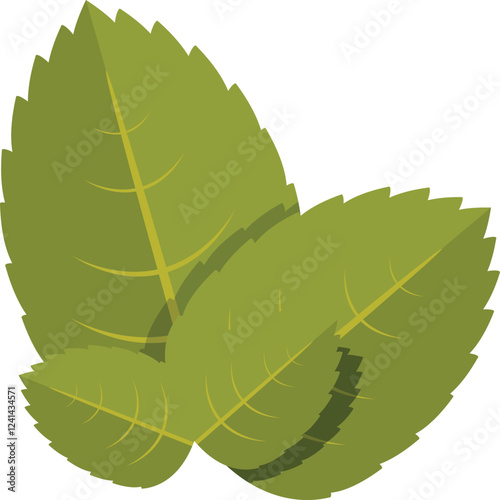 Three overlapping green spearmint leaves evoke a refreshing and soothing herbal tea experience