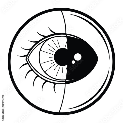 "Human Eyeball Whole and Half Cut - High-Quality Stock Images for Medical and Educational Purposes