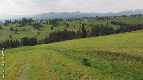 poranek na podhalu w Sierockiem