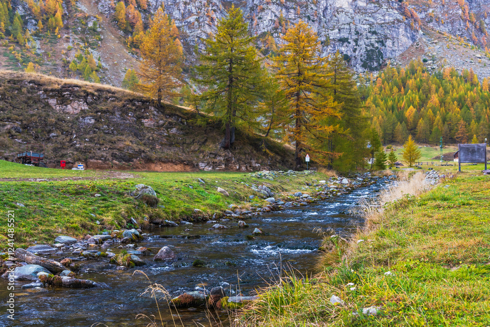 autumnal mountain landscape with a small stream inside the Alpe Devero, Val D'Ossola, Verbania, Italia
autumnal mountain landscape with a small stream inside the Alpe Devero, Val D'Ossola, Verbania, Italia