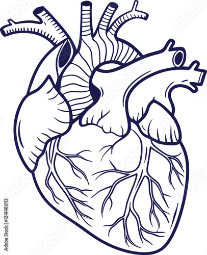 Human heart design over white background vector illustration. Human heart anatomy. Heart medical science vector illustration 