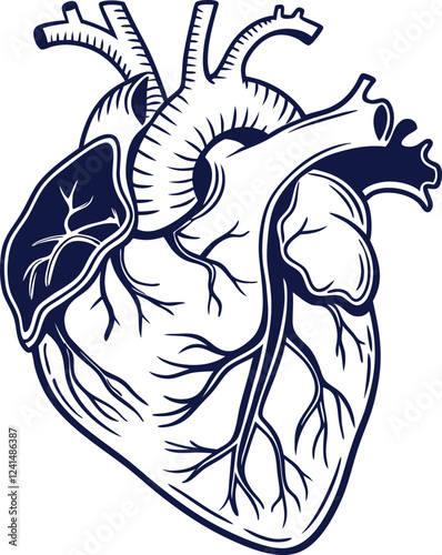 Human heart design over white background vector illustration. Human heart anatomy. Heart medical science vector illustration 