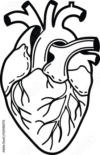 Human heart design over white background vector illustration. Human heart anatomy. Heart medical science vector illustration 