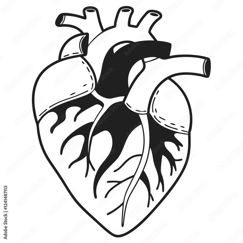 Human heart design over white background vector illustration. Human heart anatomy. Heart medical science vector illustration Human heart design over white background vector illustration. Human heart anatomy. Heart medical science vector illustration