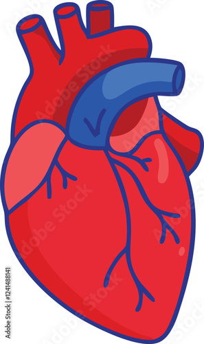 Human heart design over white background vector illustration. Human heart anatomy. Heart medical science vector illustration 