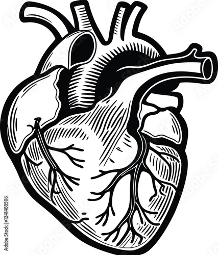 Human heart design over white background vector illustration. Human heart anatomy. Heart medical science vector illustration 