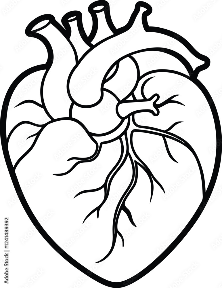 Obraz premium Human heart design over white background vector illustration. Human heart anatomy. Heart medical science vector illustration 