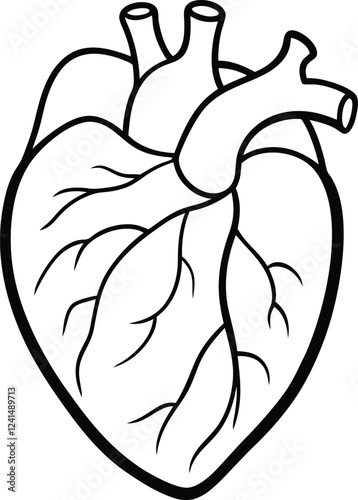 Human heart design over white background vector illustration. Human heart anatomy. Heart medical science vector illustration 