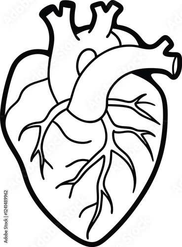 Human heart design over white background vector illustration. Human heart anatomy. Heart medical science vector illustration 