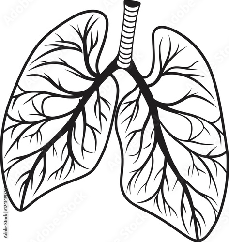 Lungs Human organs hand drawn vector illustration line art. Human lungs. Medical illustration. Vector on white background