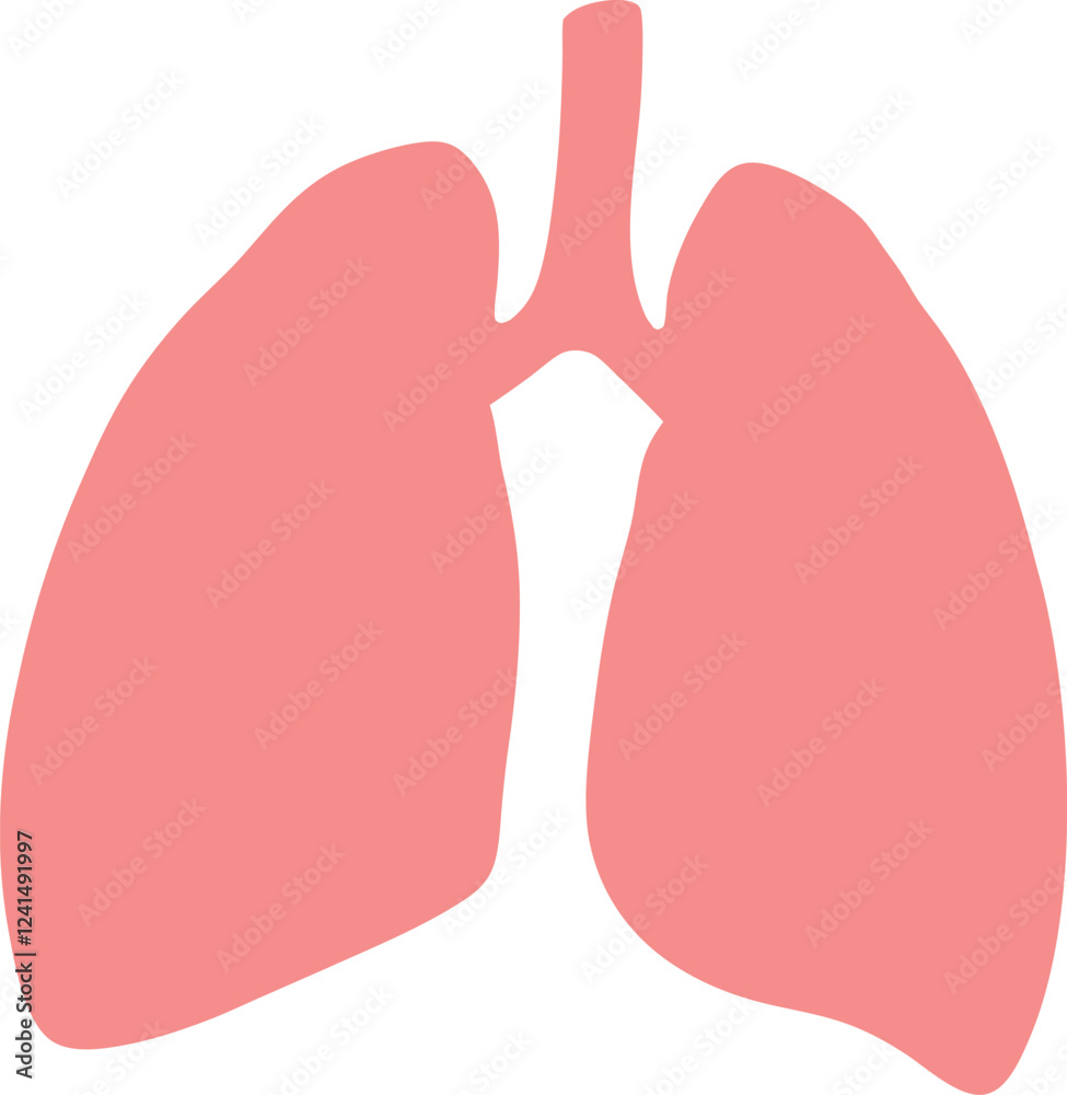 Obraz premium Lungs Human organs hand drawn vector illustration line art. Human lungs. Medical illustration. Vector on white background