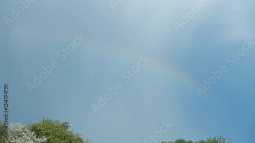 Natural rainy sky with Nimbostratus cloouds, cloudburst, streaks of rain and colorful rainbow over green and blooming trees during rainfall on spring time. Topics: beauty of nature, cloudscape photo