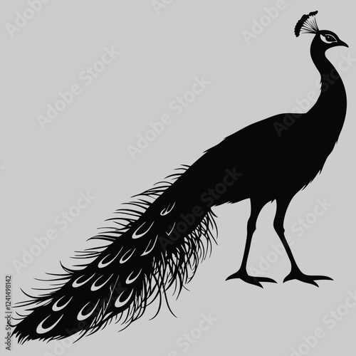a peacock standing with feathers closed silhouette vector design art and illustration