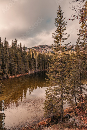 Evergreen trees surrounding a mountain lake reflecting on the water surface on a cloudy day photo