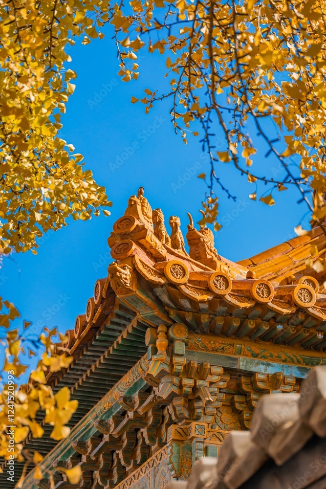 Beautiful autumn leaves surround a traditional architecture under a clear blue sky in a vibrant setting Beautiful autumn leaves surround a traditional architecture under a clear blue sky in a vibrant setting