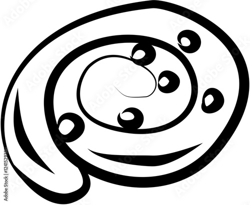 Bakery dessert. Hand drawn vector isolated doodle. Pain aux raisin 