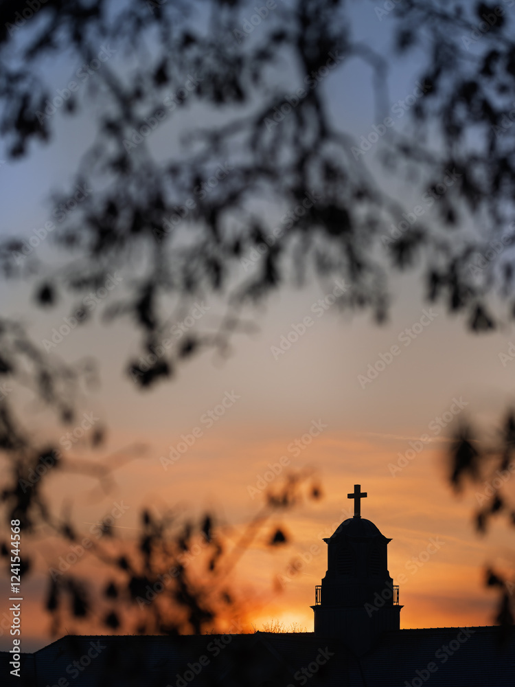 Fototapeta premium Sonnenaufgang durch Äste hindurch