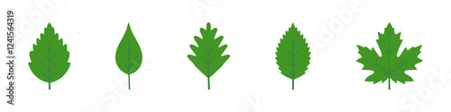 Leaves silhouettes set. Various tree foliage collection. Vector illustration.