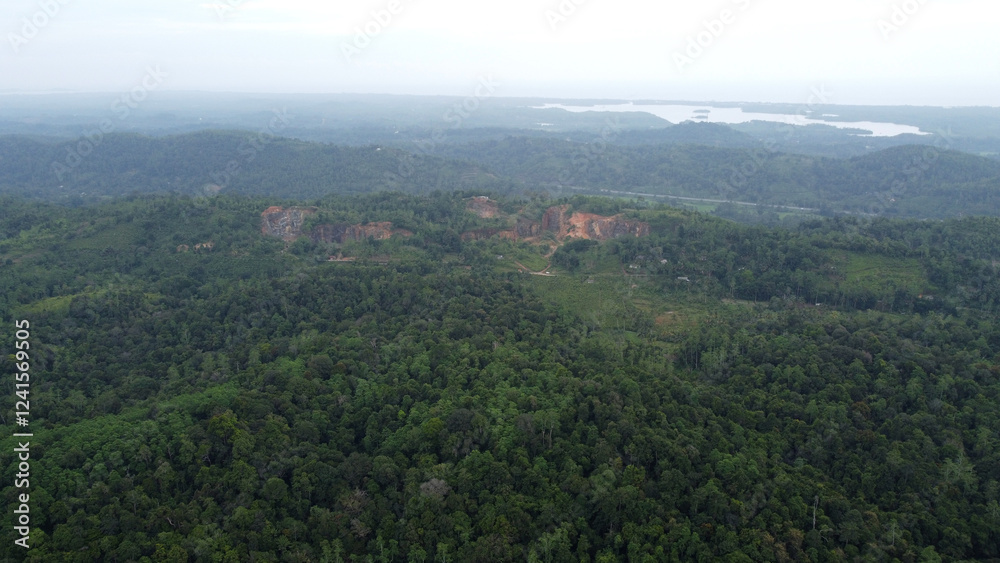 Fototapeta premium Sri Lankan jungle top view