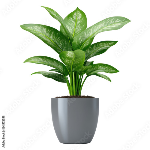 Wallpaper Mural green plant in a pot Torontodigital.ca